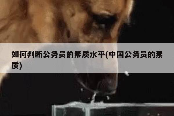 如何判断公务员的素质水平(中国公务员的素质)