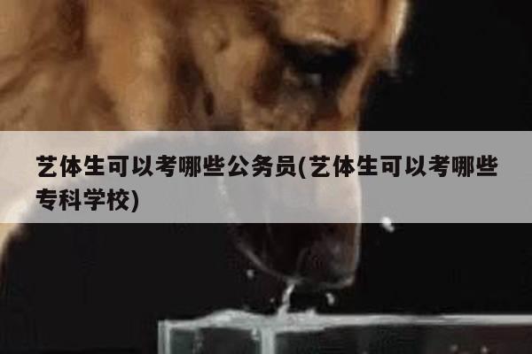 艺体生可以考哪些公务员(艺体生可以考哪些专科学校)