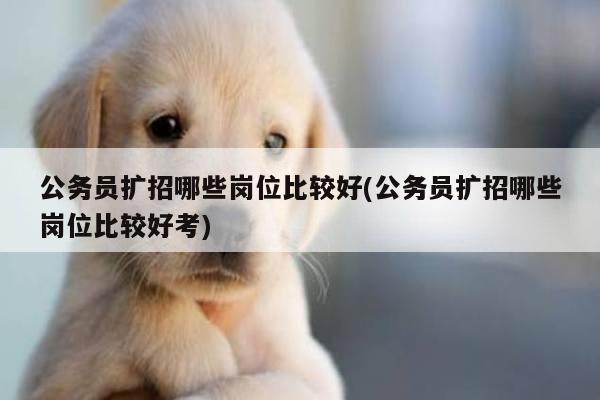 公务员扩招哪些岗位比较好(公务员扩招哪些岗位比较好考)