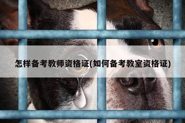 怎样备考教师资格证(如何备考教室资格证)