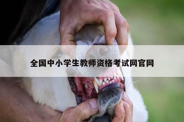 全国中小学生教师资格考试网官网