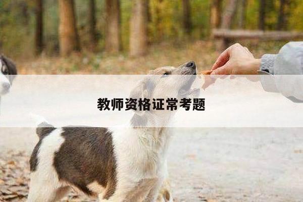 教师资格证常考题