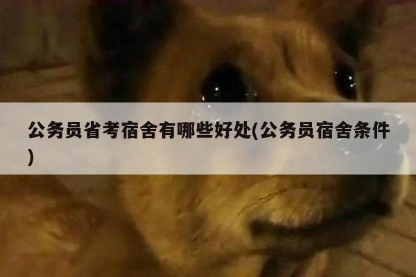 公务员省考宿舍有哪些好处(公务员宿舍条件)