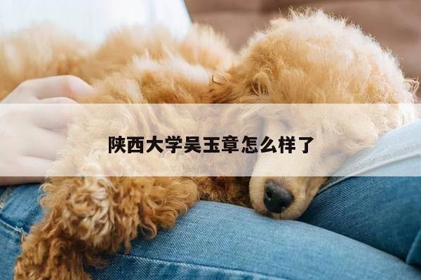 陕西大学吴玉章怎么样了