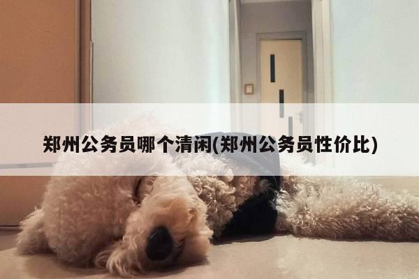 郑州公务员哪个清闲(郑州公务员性价比)