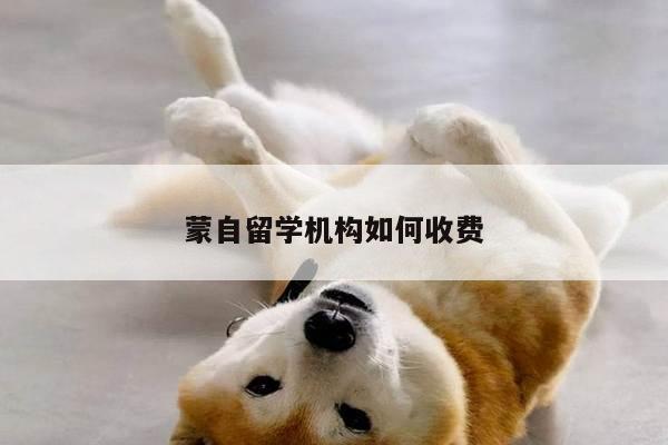 蒙自留学机构如何收费