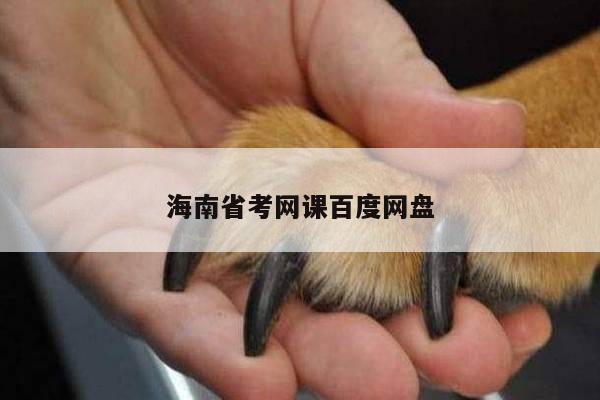 海南省考网课百度网盘