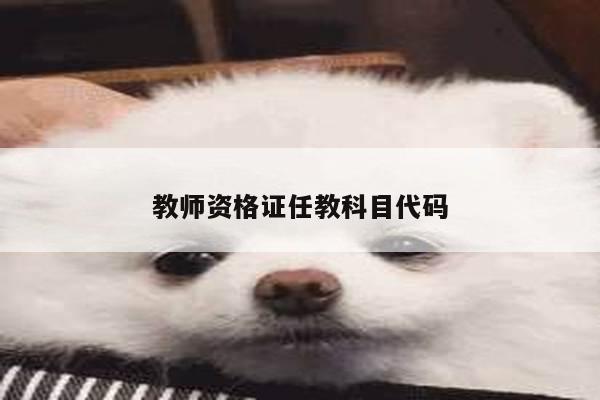 教师资格证任教科目代码