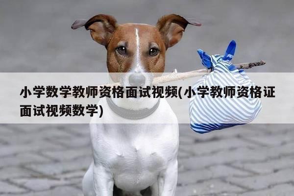小学数学教师资格面试视频(小学教师资格证面试视频数学)