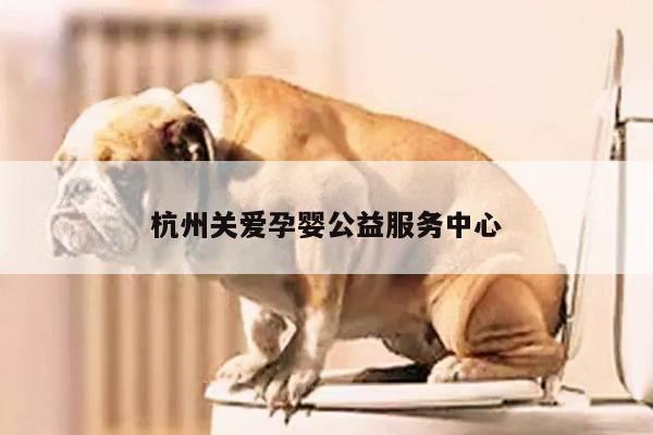 杭州关爱孕婴公益服务中心