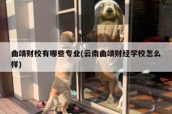 曲靖财校有哪些专业(云南曲靖财经学校怎么样)