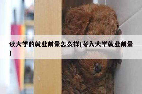 读大学的就业前景怎么样(考入大学就业前景)