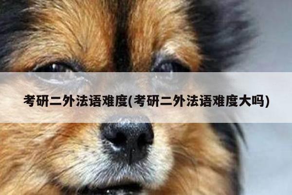 考研二外法语难度(考研二外法语难度大吗)
