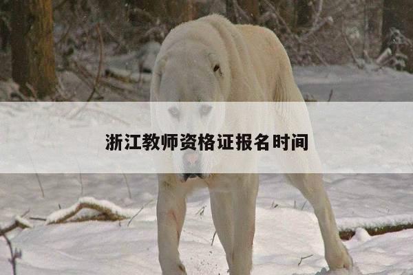 浙江教师资格证报名时间