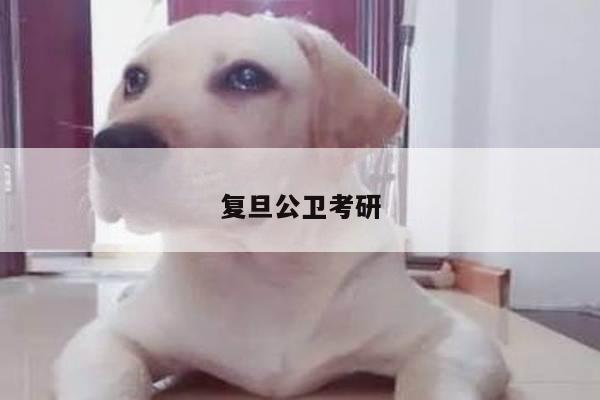 复旦公卫考研