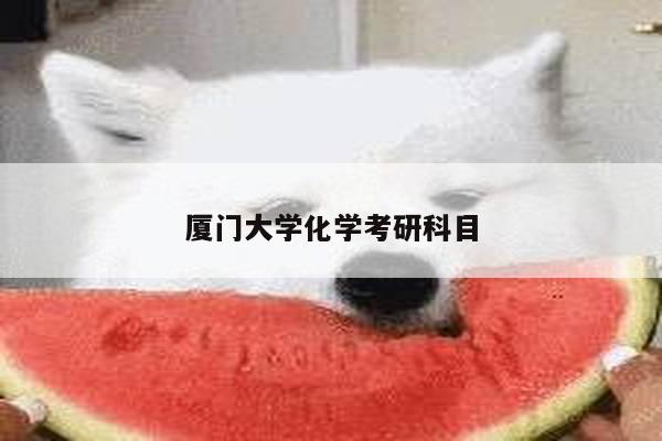 厦门大学化学考研科目