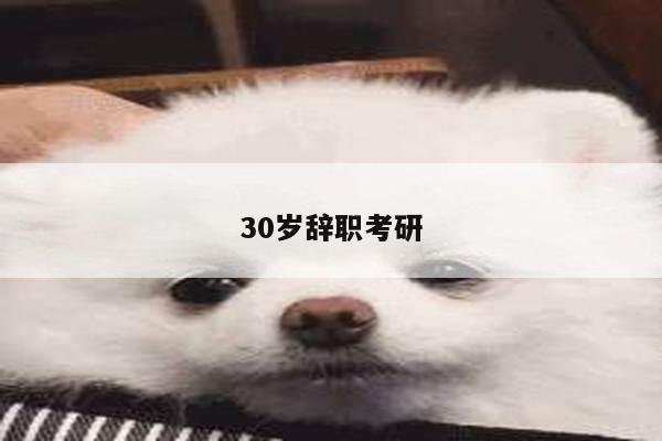 30岁辞职考研