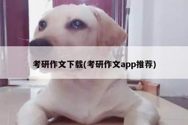 考研作文下载(考研作文app推荐)