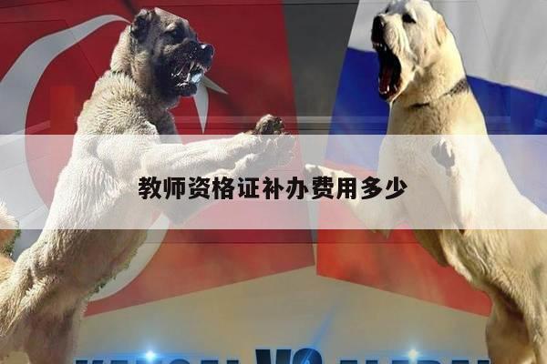 教师资格证补办费用多少