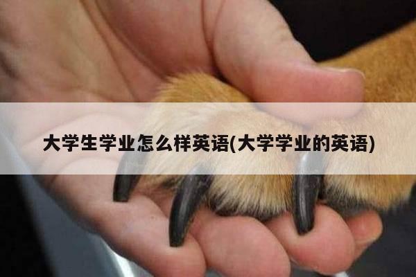 大学生学业怎么样英语(大学学业的英语)