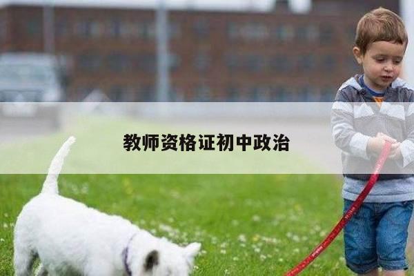教师资格证初中政治