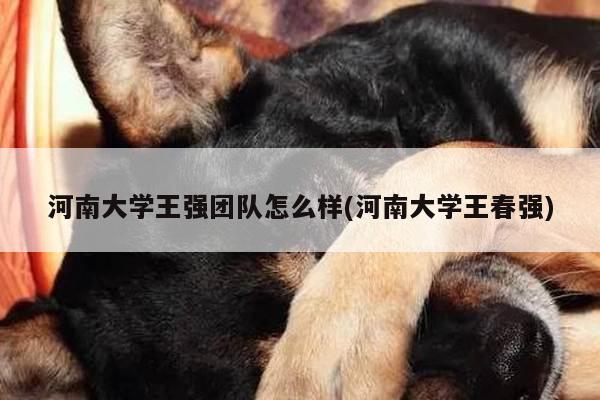 河南大学王强团队怎么样(河南大学王春强)