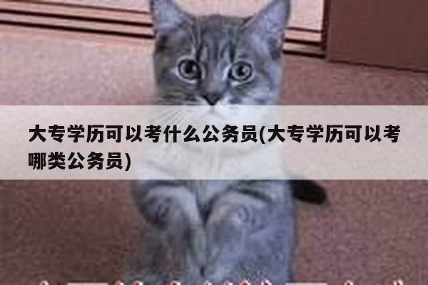 大专学历可以考什么公务员(大专学历可以考哪类公务员)