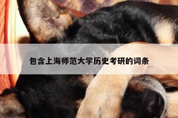 包含上海师范大学历史考研的词条