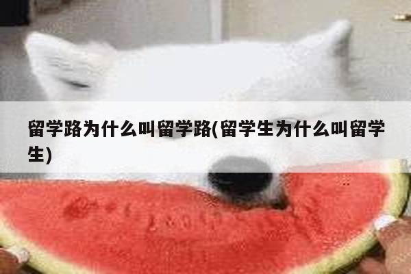 留学路为什么叫留学路(留学生为什么叫留学生)