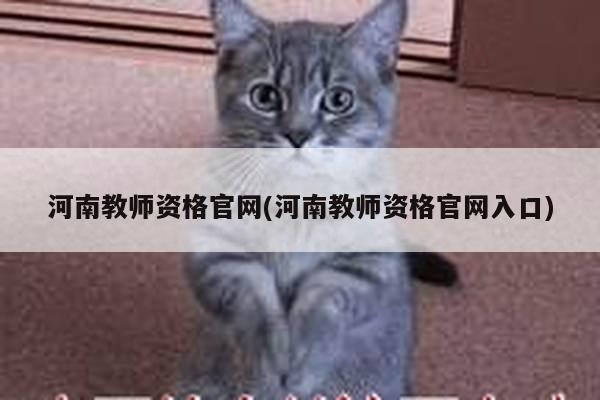 河南教师资格官网(河南教师资格官网入口)