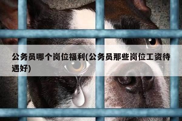 公务员哪个岗位福利(公务员那些岗位工资待遇好)