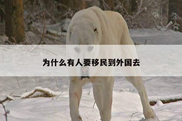 为什么有人要移民到外国去