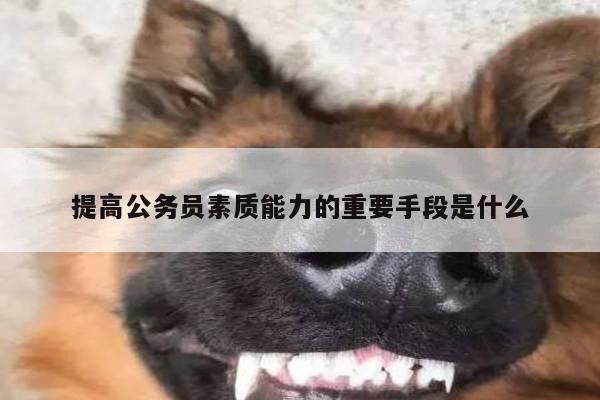 提高公务员素质能力的重要手段是什么