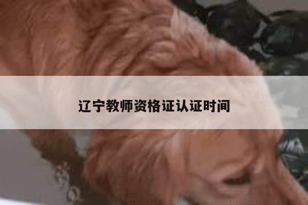 辽宁教师资格证认证时间