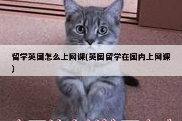 留学英国怎么上网课(英国留学在国内上网课)