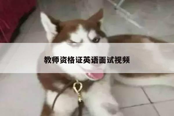 教师资格证英语面试视频