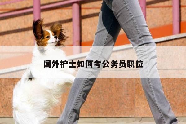 国外护士如何考公务员职位