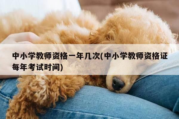 中小学教师资格一年几次(中小学教师资格证每年考试时间)