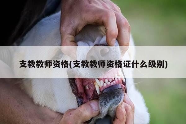 支教教师资格(支教教师资格证什么级别)
