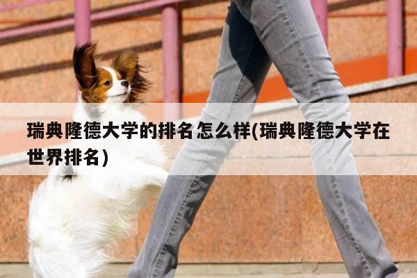 瑞典隆德大学的排名怎么样(瑞典隆德大学在世界排名)