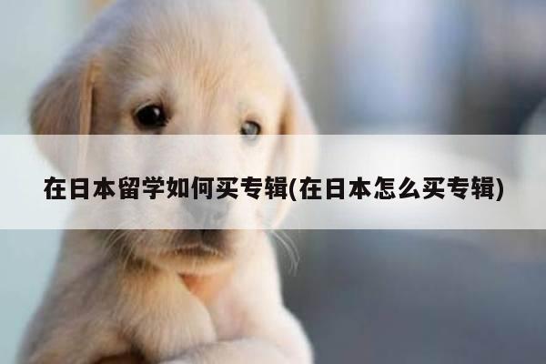 在日本留学如何买专辑(在日本怎么买专辑)