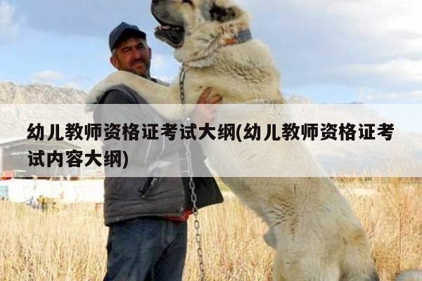 幼儿教师资格证考试大纲(幼儿教师资格证考试内容大纲)