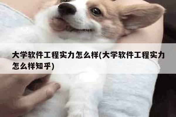 大学软件工程实力怎么样(大学软件工程实力怎么样知乎)