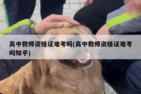 高中教师资格证难考吗(高中教师资格证难考吗知乎)