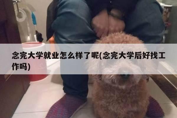 念完大学就业怎么样了呢(念完大学后好找工作吗)