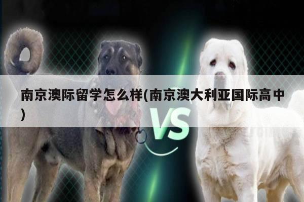南京澳际留学怎么样(南京澳大利亚国际高中)