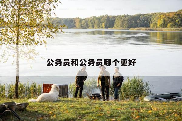 公务员和公务员哪个更好