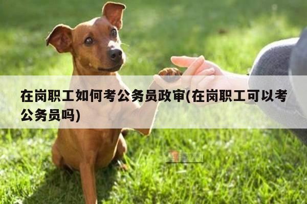 在岗职工如何考公务员政审(在岗职工可以考公务员吗)
