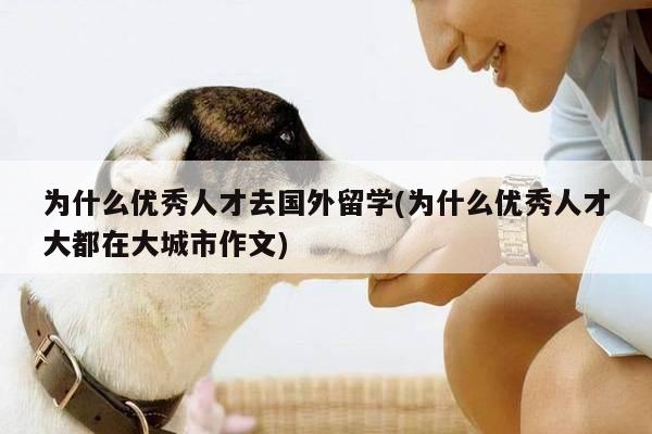 为什么优秀人才去国外留学(为什么优秀人才大都在大城市作文)