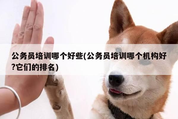 公务员培训哪个好些(公务员培训哪个机构好?它们的排名)